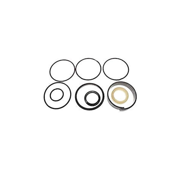 Aftermarket Hydraulic Cylinder Seal Kit Fits AllisChalmers Fork Truck 114 X 3 4906332 - main